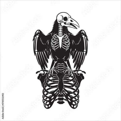 Vector art of skeleton of a bird of prey
