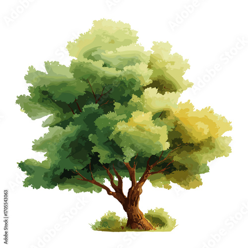 Green tree illustration with lush leaves on white background