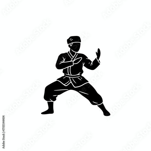 Silhouetted martial artist in a defensive stance, showcasing traditional attire and combat readiness.