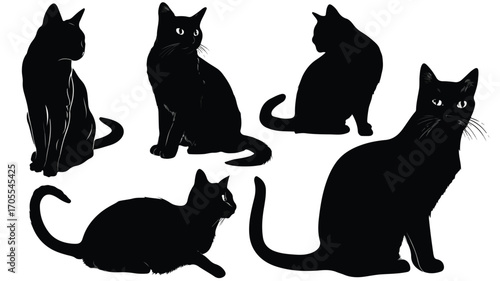Stylish Set of Black Cat Silhouettes Vector with Outline for Creative Designs