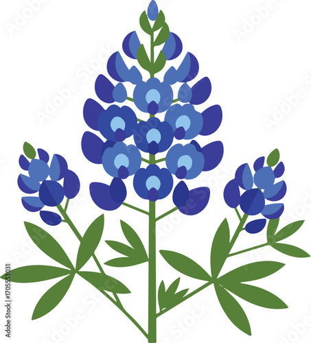 Bluebonnet Flower Illustration with Green Stems and Leaves