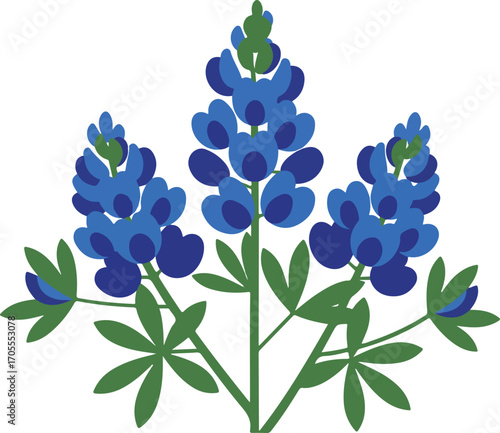 Bluebonnet Flowers Illustration Isolated on White floral
