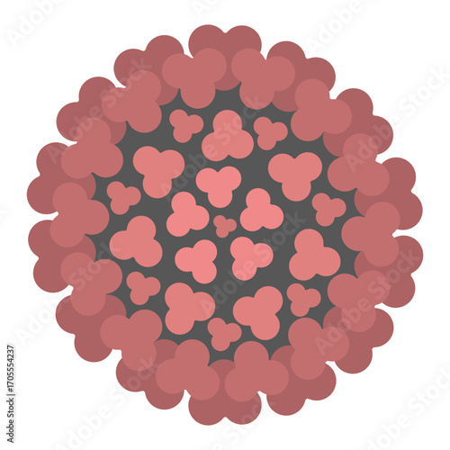 Chikungunya virus. Round pink togovirus transmitted by a female mosquito bite. Color vector illustration. Isolated white background. Flat style. Medical theme. Idea for web design.