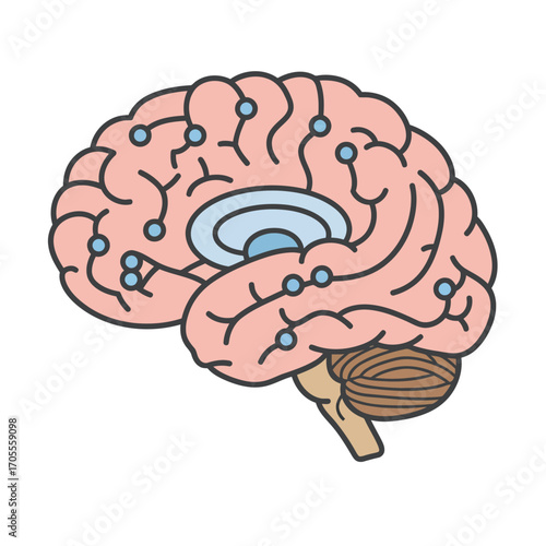 brain activity showcasing neural network connections and cognitive function ideal for science research or medical tech visuals.