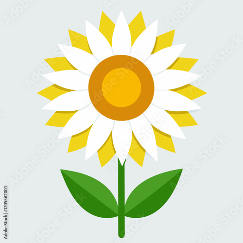sunflower white vector on white 