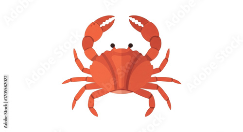 Red Crab Illustration.