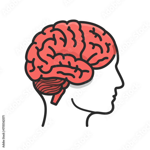 human brain conceptual illustration of intelligence and consciousness in a mind profile symbolizing knowledge perfect for medical and educational projects