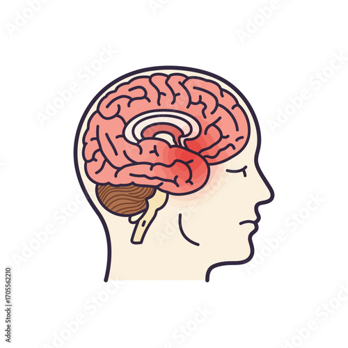 human brain illustration examining neurological function for healthcare designs showing brain anatomy and neuroscience research on mental health brain power and illness
