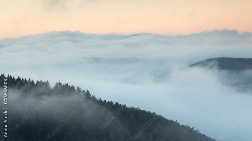 Fototapeta premium Burgruine Meistersel im Pfälzerwald bei Sonnenaufgang mit Hügeln im Nebelmeer wie kleine Inseln