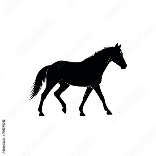 Silhouette of a majestic horse walking gracefully.