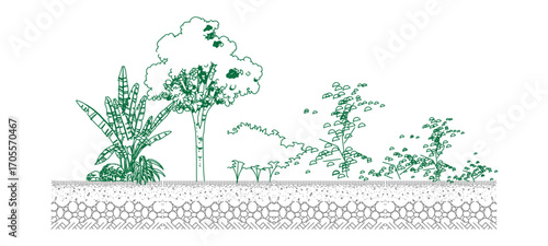 front View Vector Icons of Trees and Plants for Floor Plan and Architectural Design Projects	