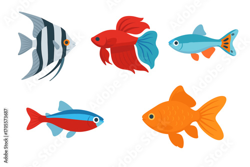 Vibrant collection of popular aquarium fish species including angelfish, betta, neon tetra, guppy, and goldfish