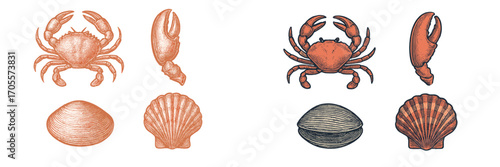 Detailed engraving style marine life collection featuring crabs, individual crab claws, clams, and scallops