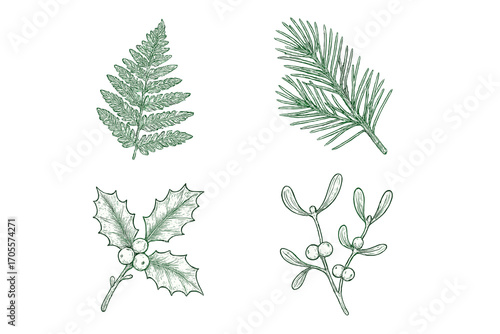 Detailed botanical collection featuring fern frond, pine branch, holly with berries, and mistletoe sprig