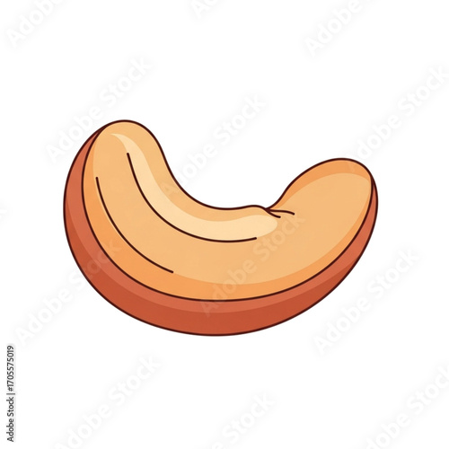 Single Cashew Nut Illustration.