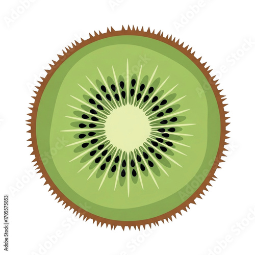 Slice of Kiwi Fruit with Seeds and Skin.