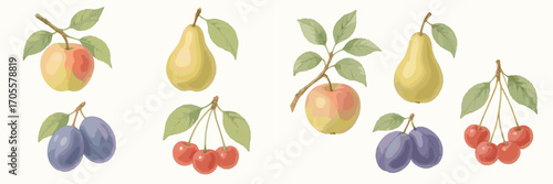 Botanical collection of fresh ripe apples pears plums and cherries with vibrant green leaves on natural branches