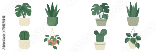 Stylized collection of diverse potted houseplants and succulents in various decorative containers, botanical elements for interior design and home decor