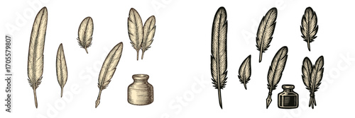 Collection of quill pens and inkwells in vintage engraving style