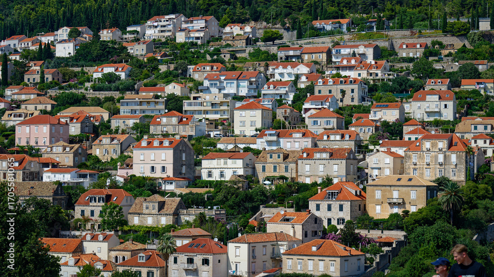 Naklejka premium Dubrovniks buildings, roofs and city view 