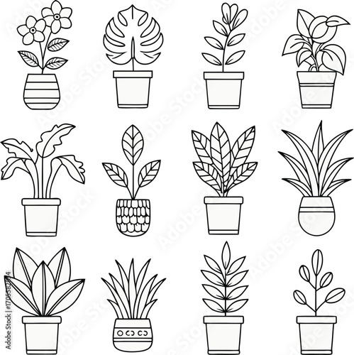 Tree plan and summer design vector icon 