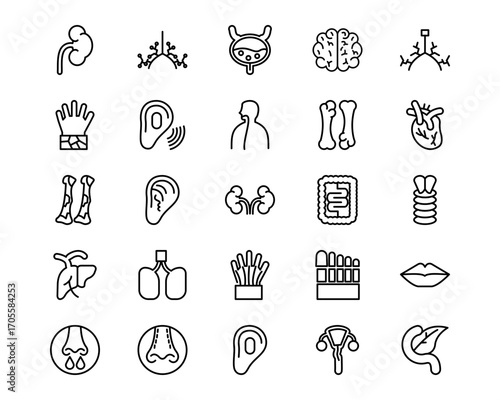 Human Anatomy Line Vector Icons
