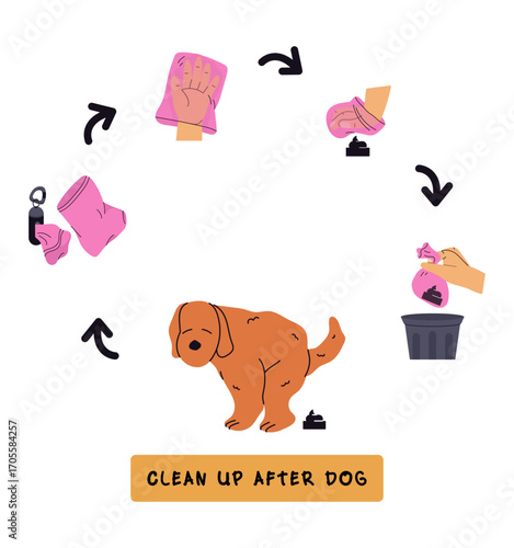 Clean Up After Dogs Pet