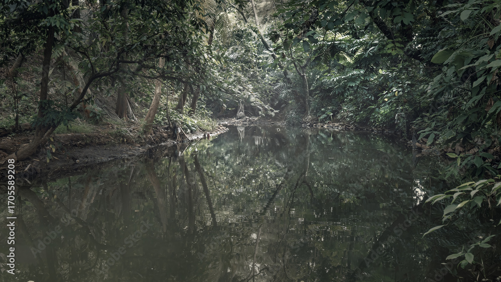 Obraz premium Dark and creepy river reflection with a horror forest. The scene is scary and mysterious. Mockup. Copy Space. Wallpaper or Halloween background