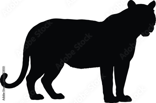 Black Silhouette of Standing Tiger in Side Profile with Curved Tail and Muscular Form — Depicted in Minimalist Composition to Represent Strength, Agility, and Wild Majesty in Stylized Vector Format