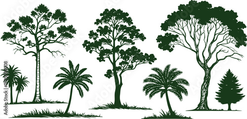 Hand-drawn green tropical and forest trees collection illustration. Palm trees and deciduous forest silhouettes in engraving style for projects and graphic design. Perfect for nature, environment,