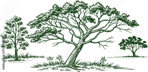 Hand-drawn green tree illustration with detailed branches and grass. Vintage engraving style nature design perfect for ecology, landscape, and botanical projects. Ideal for prints, decor, 