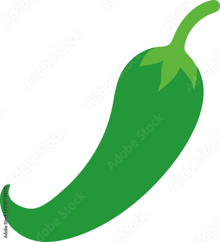 Green chili colorful icon vector on white background 
