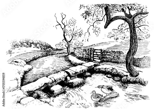 Rural landscape, tree and stream. Hand sketch converted to vector.Adobe Illustrator Artwork