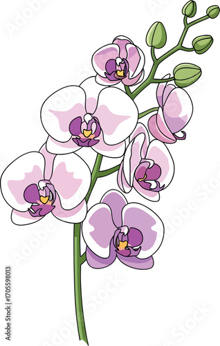 Spiritual Symbols Vector Set