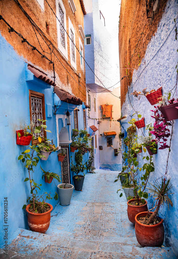 Fototapeta premium Beautiful street with flowers in Chefchaouen, Morocco, the Blue city