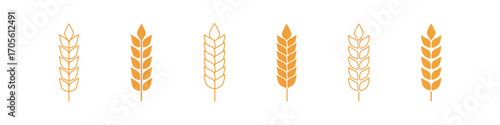 Wheat icon. Aglo logo set. Grain sign vector set. Agro harvest sign.