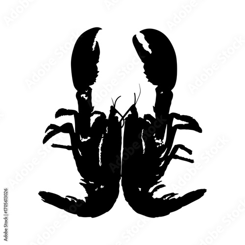 silhouette of a lobster