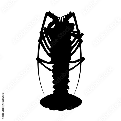 silhouette of a lobster