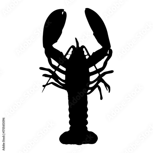 silhouette of a lobster