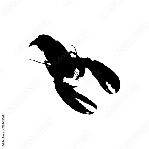 silhouette of a lobster
