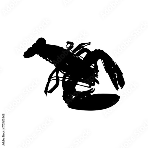 silhouette of a lobster