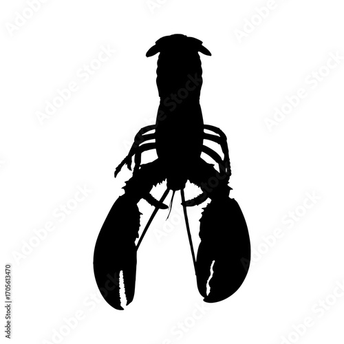 silhouette of a lobster