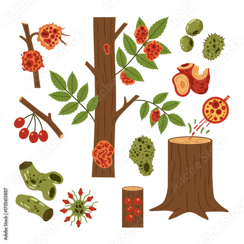 tree diseases vector illustration showing symptoms and fungal infections affecting tree health perfect for botany blogs and education materials.