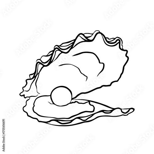 Oyster with Pearl Line Illustration Transparent mediterranean summer seafood shell open svg hand drawn sketch food asset marine dinner restaurant vector vintage ocean doodle whimsical summer luxury