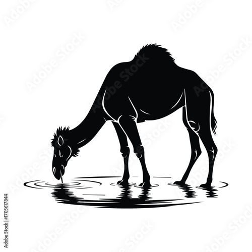 Camel Silhouette Drinking Water in the Desert Black and White Vector Illustration
