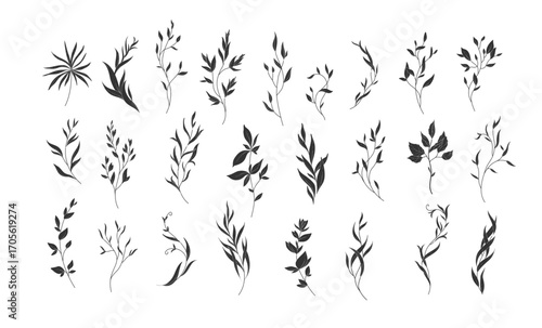 Set of sophisticated branch in silhouette or linocut drawing style. Luxury floral collection for wedding invitation, wallpaper art or save the date card