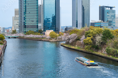 Osaka, Japan. Tourist cruise boat on the Okawa River during the cherry blossom festival at Kema Sakuranomiya Park in springtime.