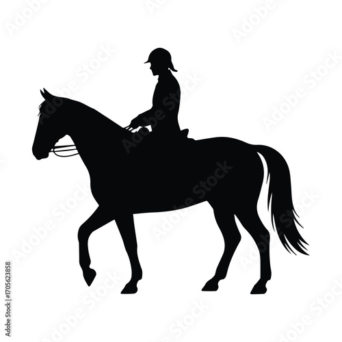 Elegant black silhouette of a horse and rider equestrian sport and recreation theme