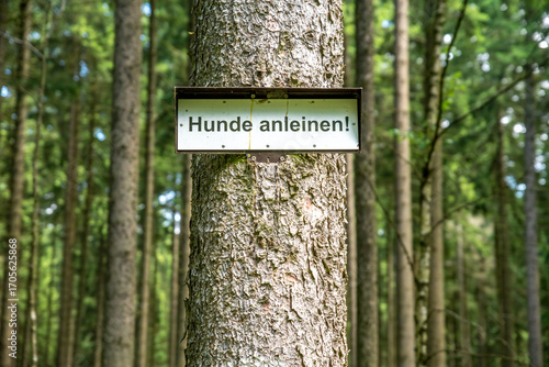 A signboard on the trunk of a tree with German inscription: Keep dogs on a leash