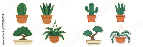 Set of potted green plants and succulents including cacti, snake plants, ferns, and bonsai trees for interior design